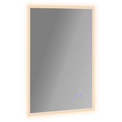 Καθρέφτης μπάνιου Kleankin με φως LED 70x50 cm, Καθρέφτης με λειτουργία κατά της ομίχλης και κουμπιά αφής, ασημί